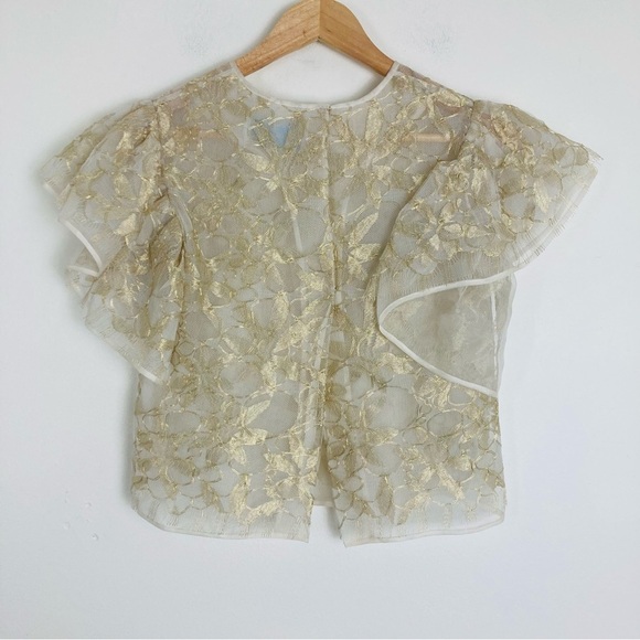 David Peck pale gold silk blend lined lace top. Full tee sleeves. Size XS - Picture 2 of 5